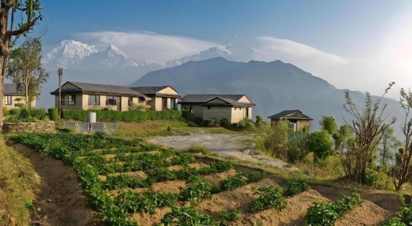 Hananoie - A Permaculture Resort Pokhara Eksteriør billede