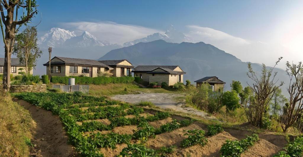 Hananoie - A Permaculture Resort Pokhara Eksteriør billede
