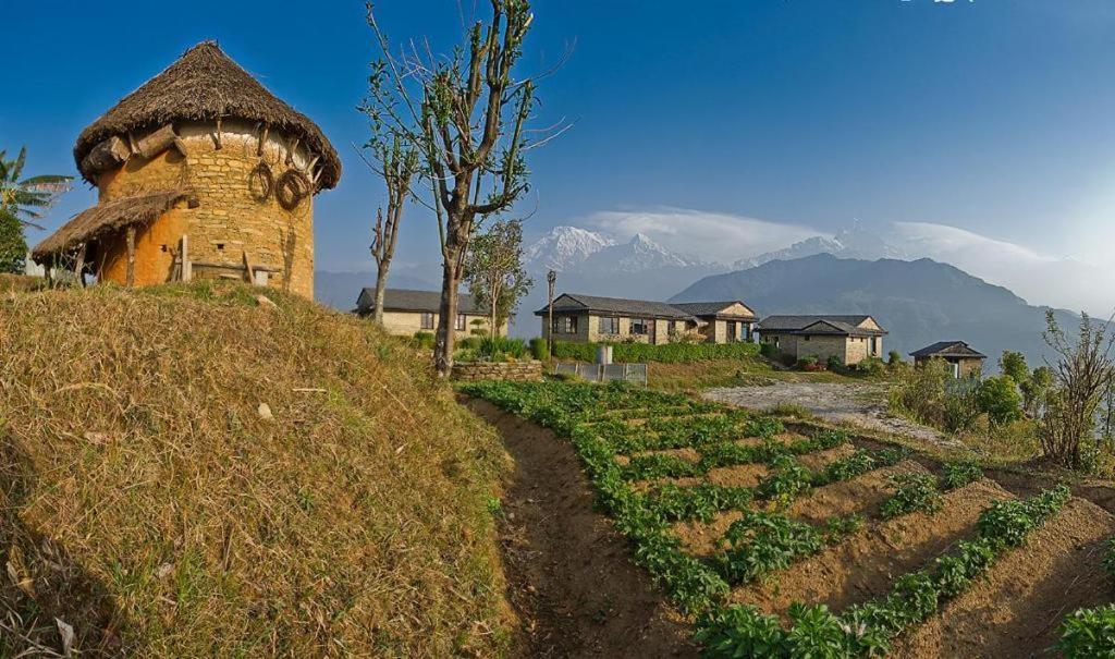 Hananoie - A Permaculture Resort Pokhara Eksteriør billede